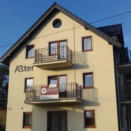 Aster Homestay *