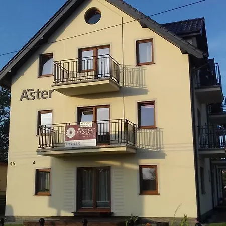 Aster * Mielno (Koszalin)
