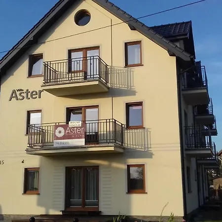 Homestay Aster